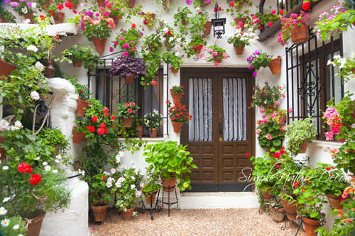 Mảng tường và sân trước cửa được bao phủ bởi sắc xanh của cây lá và màu sắc rực rỡ của những chậu hoa